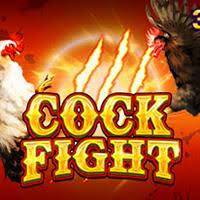 JDB Cock Fight Slot Game, Collect Wild Symbol – Hit Bonus Combo!