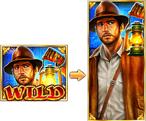 JILI Book of Gold Slot Game Multiplied by Special Wild