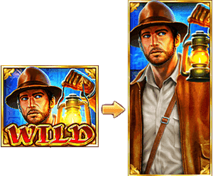 JILI Book of Gold Slot Game Multiplied by Special Wild