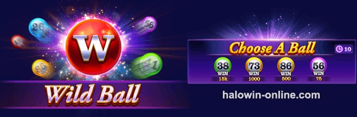 Jili Super Bingo Wild Ball 
