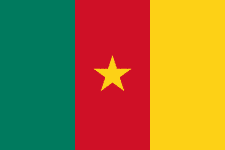 FIFA World Cup 2022 Results: CAMEROON