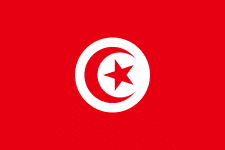 FIFA World Cup 2022 Results: TUNISIA
